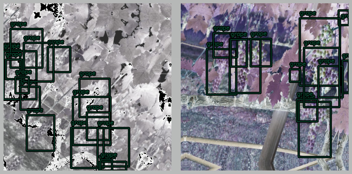 Project Gallery Image